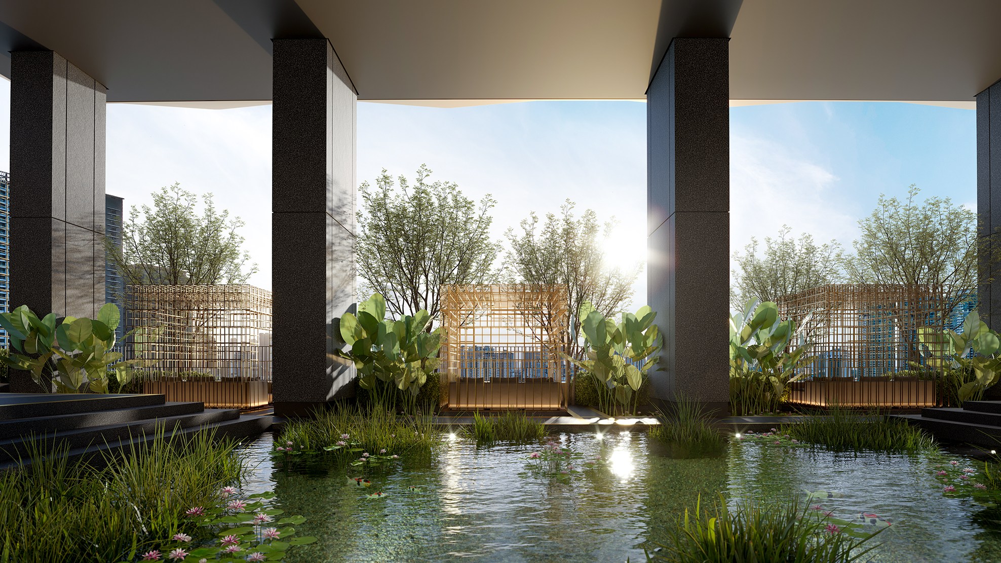 Bio Pond 生态池